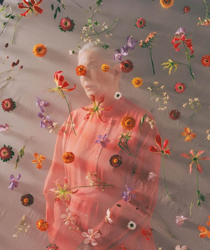 Screenshot 2026 02 15 at 14.16.03