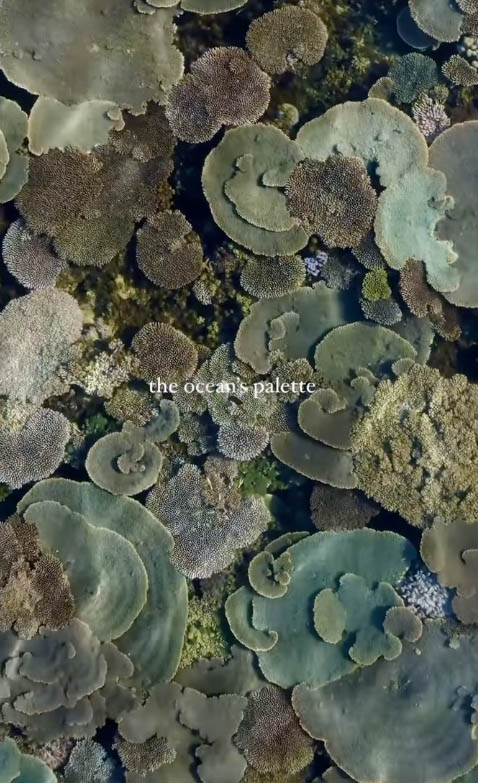 Screenshot 2026 02 15 at 14.17.28