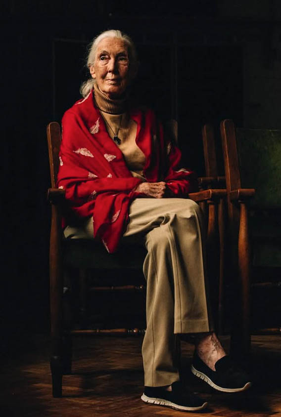 Screenshot 2026 02 15 at 14.20.34