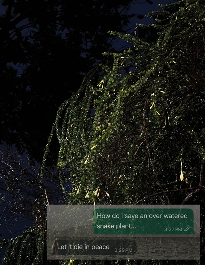 Screenshot 2026 02 15 at 14.29.12