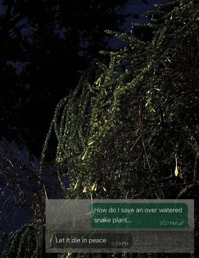 Screenshot 2026 02 15 at 14.29.12