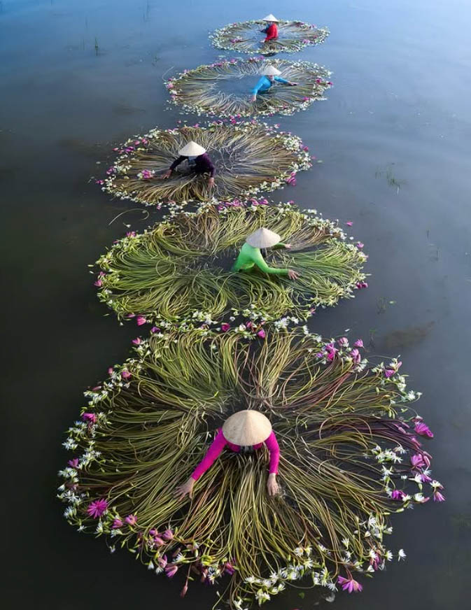 Screenshot 2026 02 15 at 14.29.43