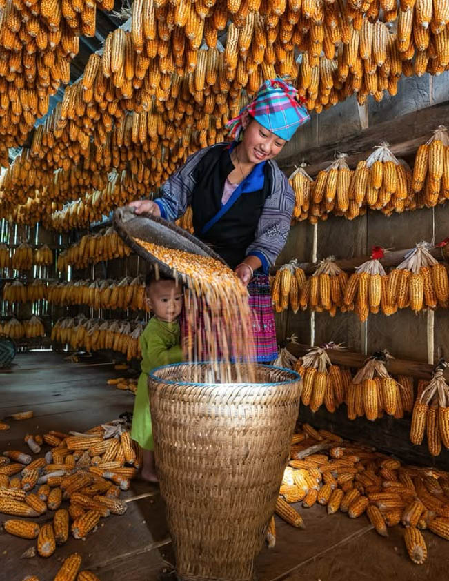 Screenshot 2026 02 15 at 14.30.08