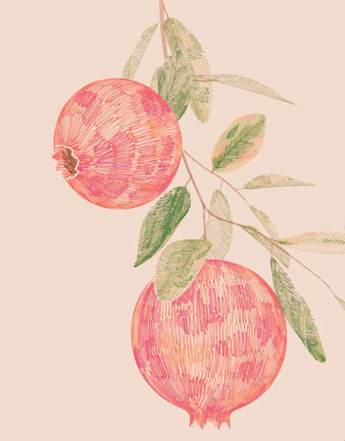 Screenshot 2026 02 15 at 14.34.44