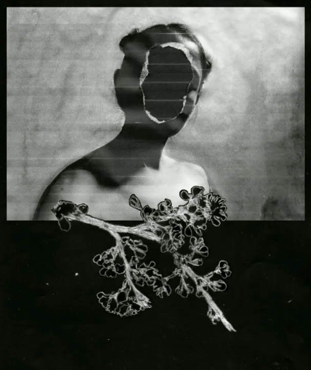 Screenshot 2026 02 15 at 14.51.23