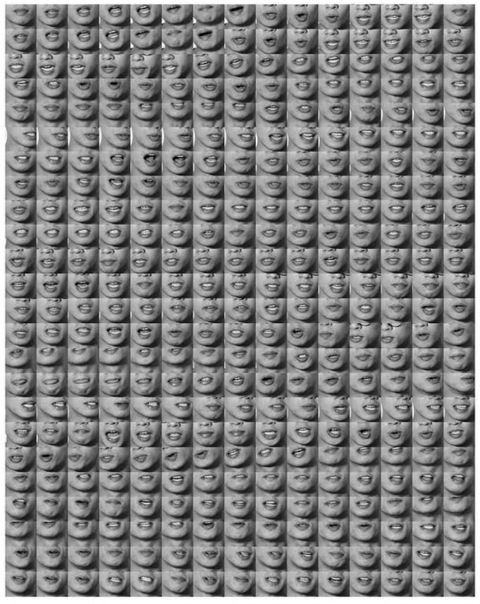 Screenshot 2026 02 15 at 14.59.57