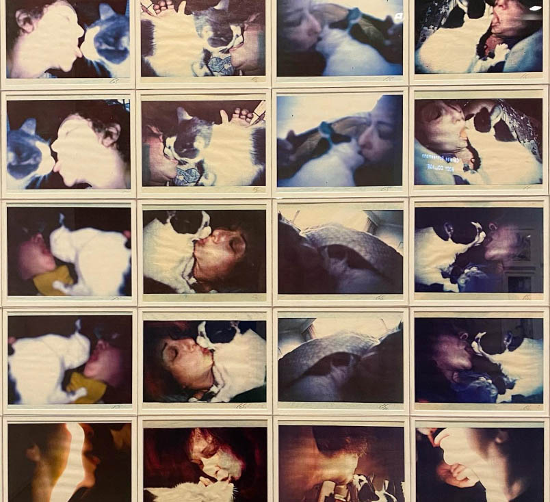 Screenshot 2026 02 15 at 15.10.10