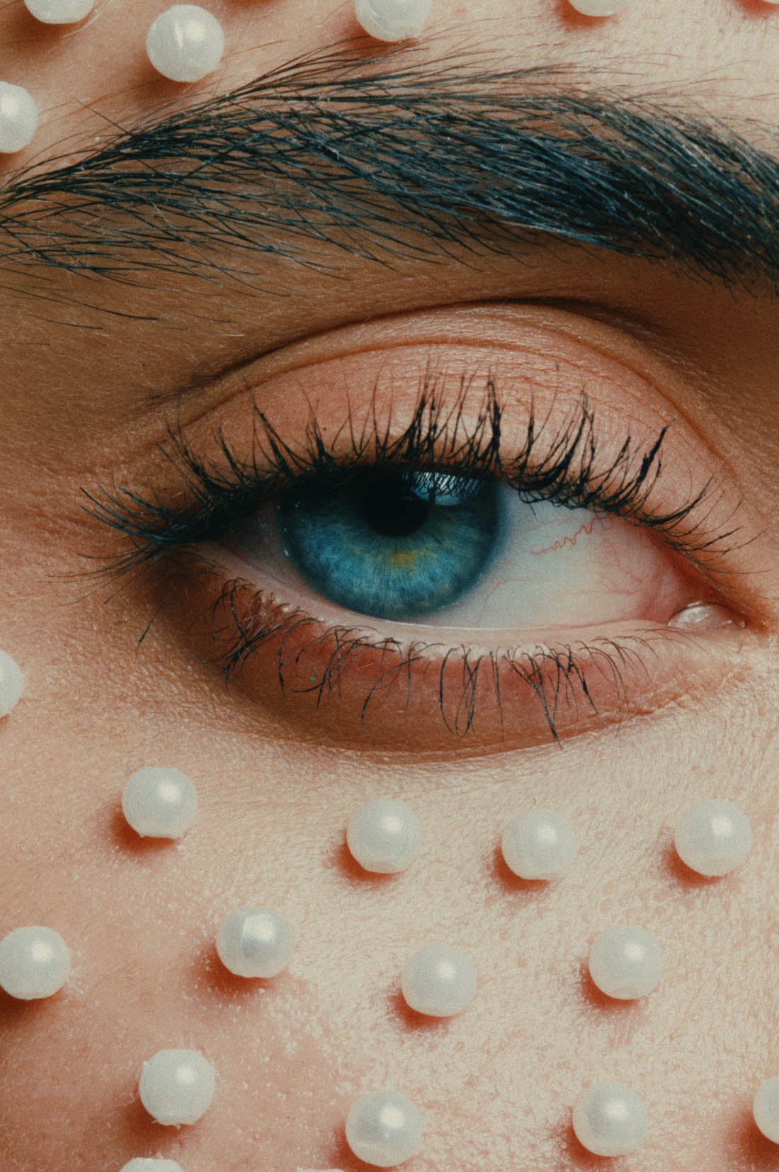 Screenshot 2026 02 23 at 12.19.30