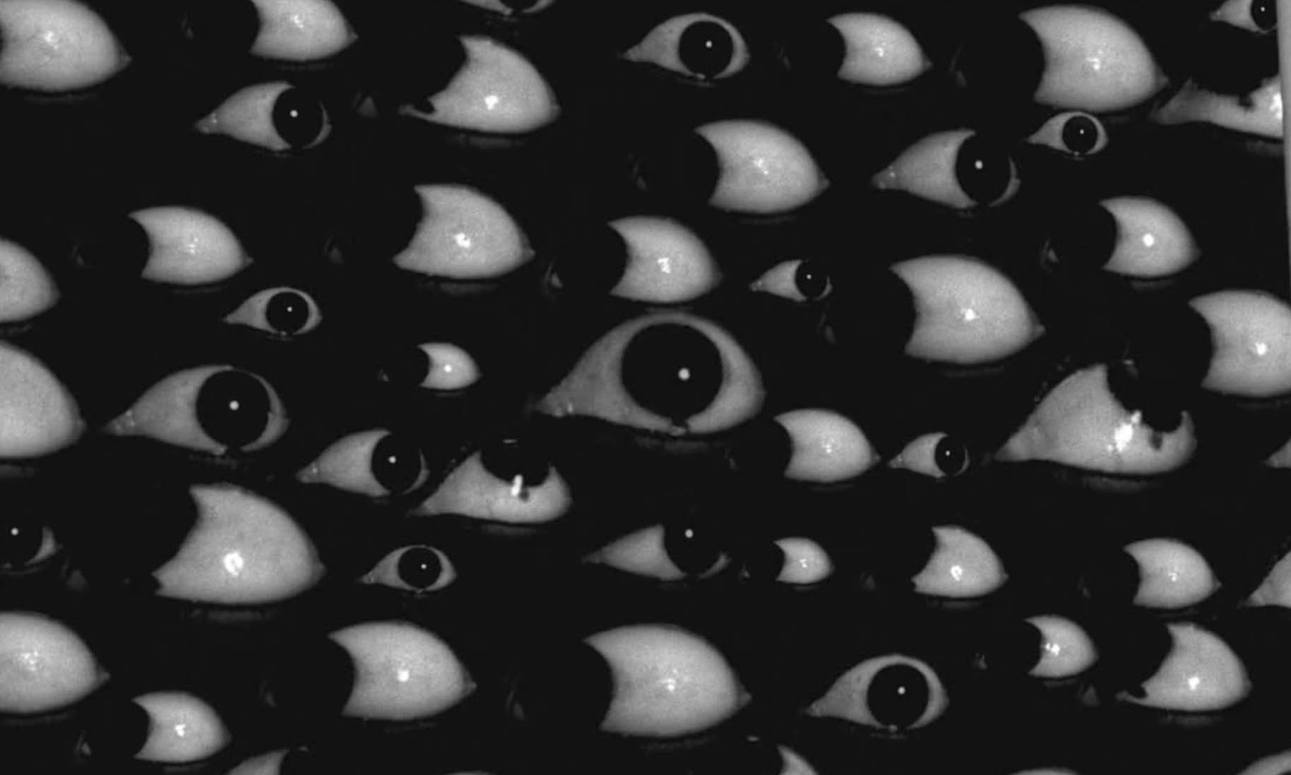 Screenshot 2026 02 18 at 22.32.34