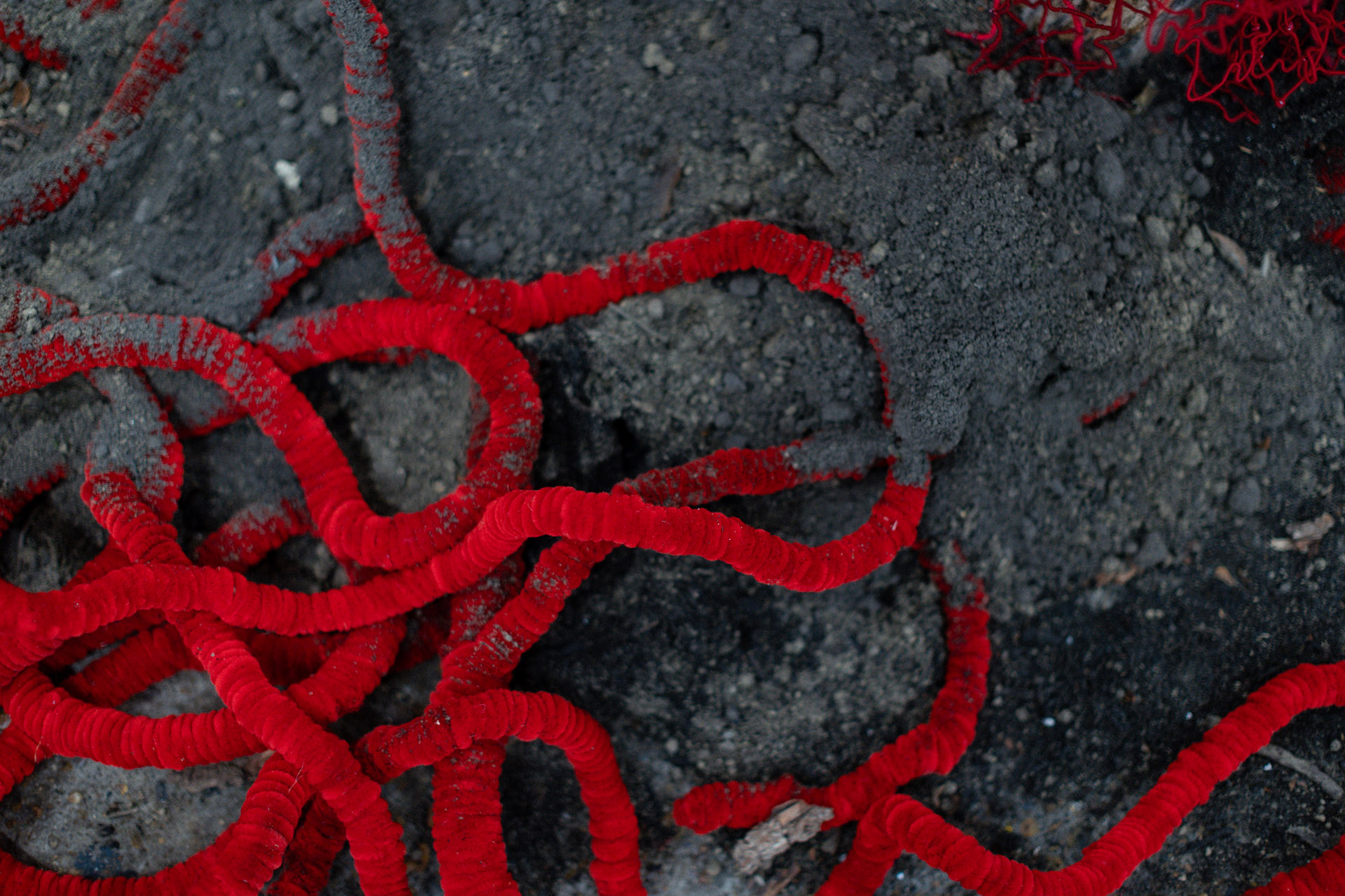 RCA Gradshow in London