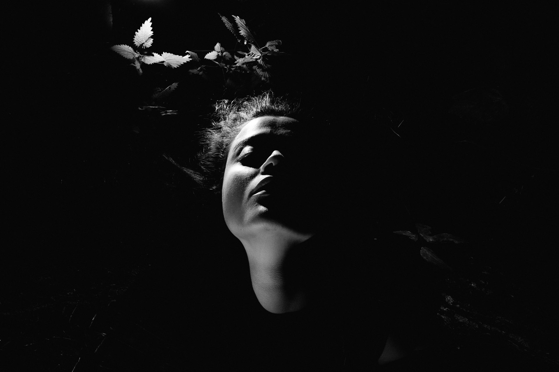 Photography image 11