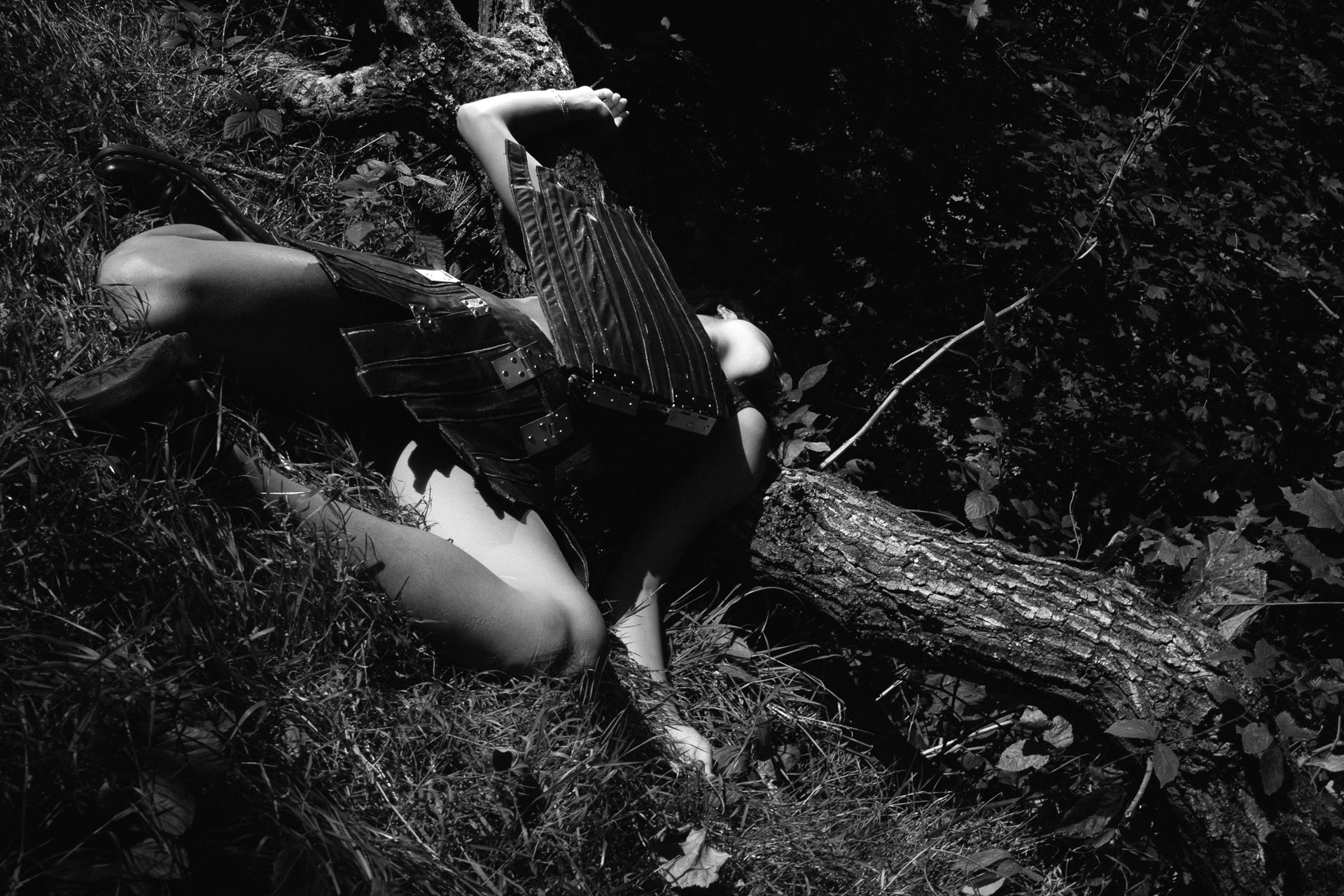 Photography image 12