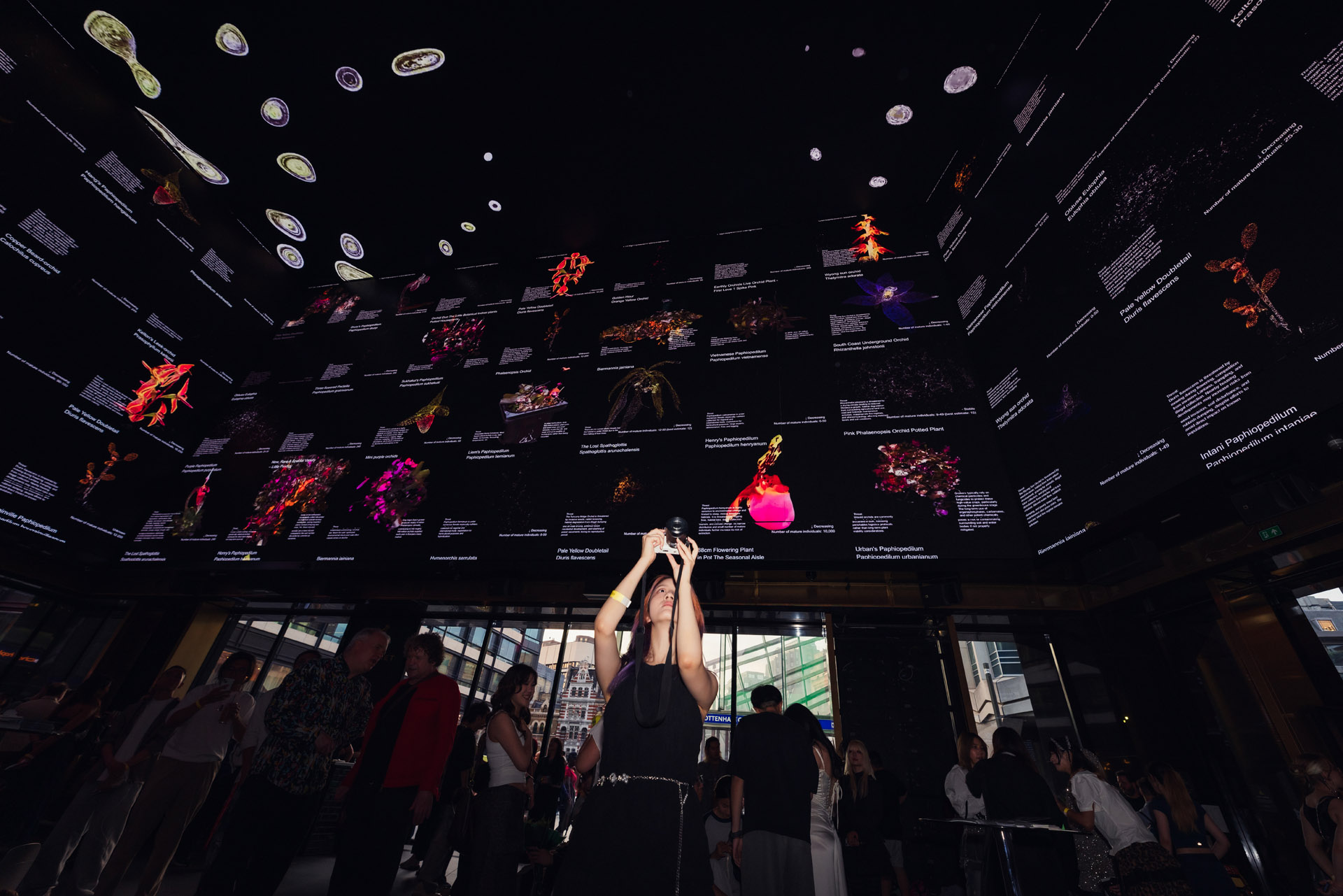 Photography image 22