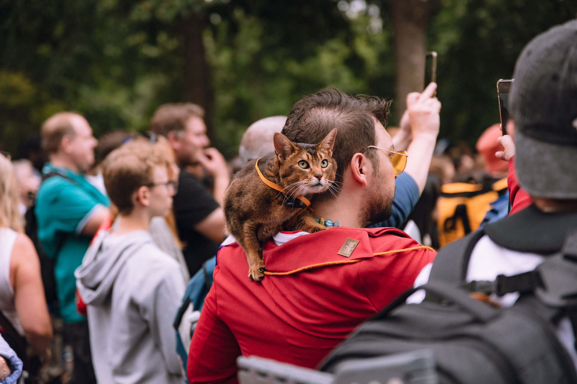 Photography image 13