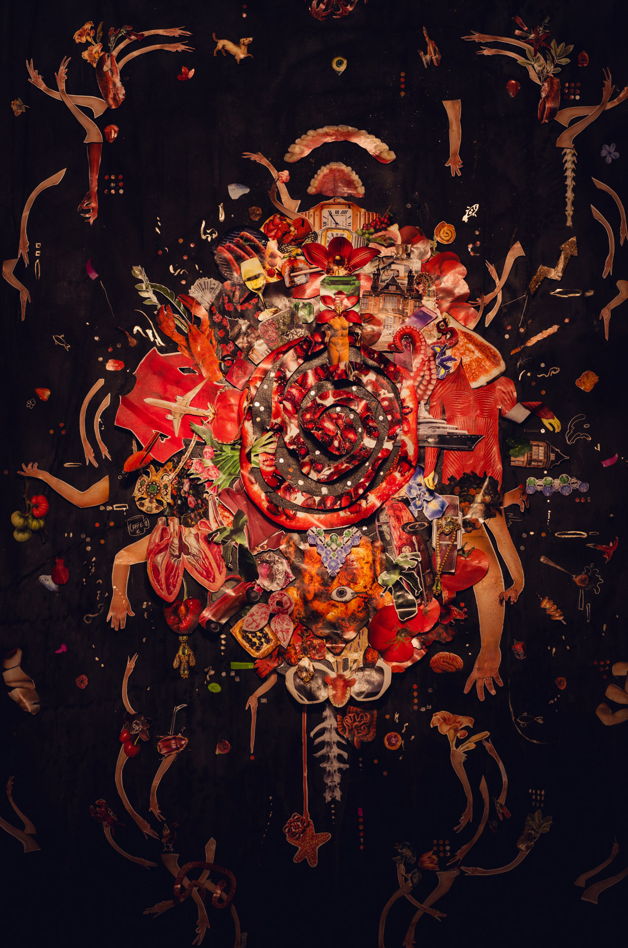 Photography image 11