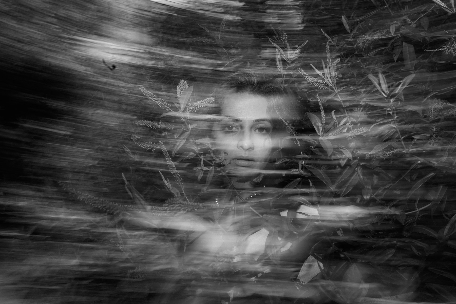 Photography image 12