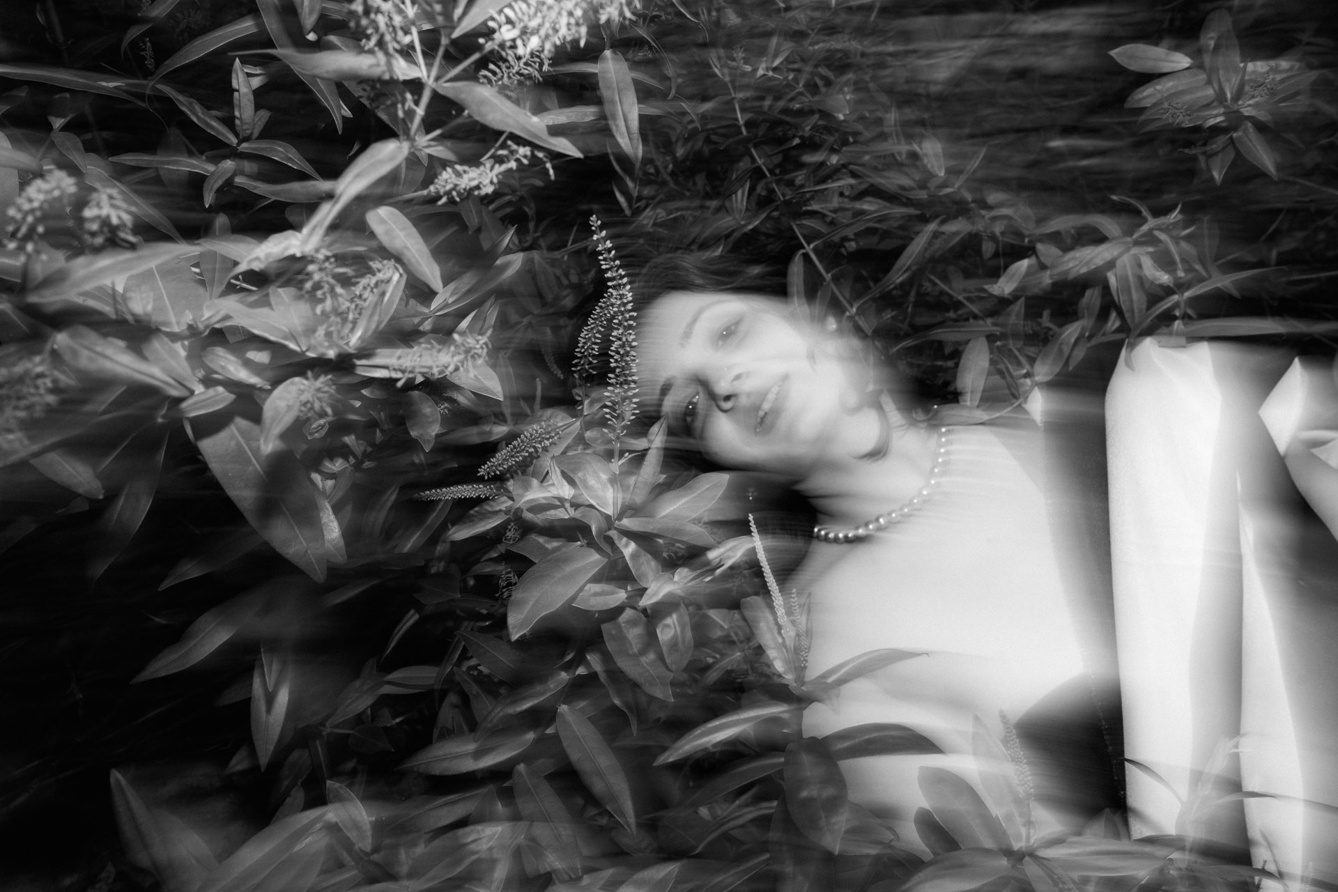 Photography image 14