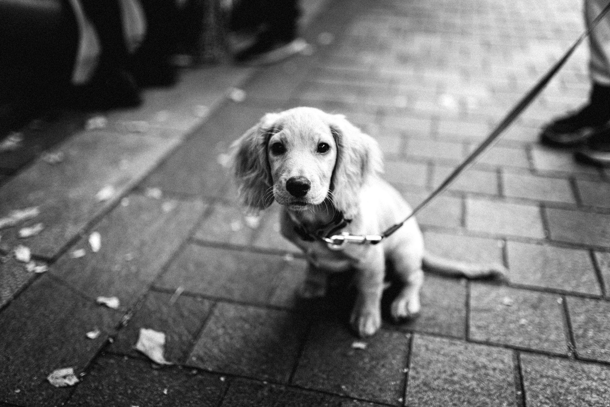 Photography image 10