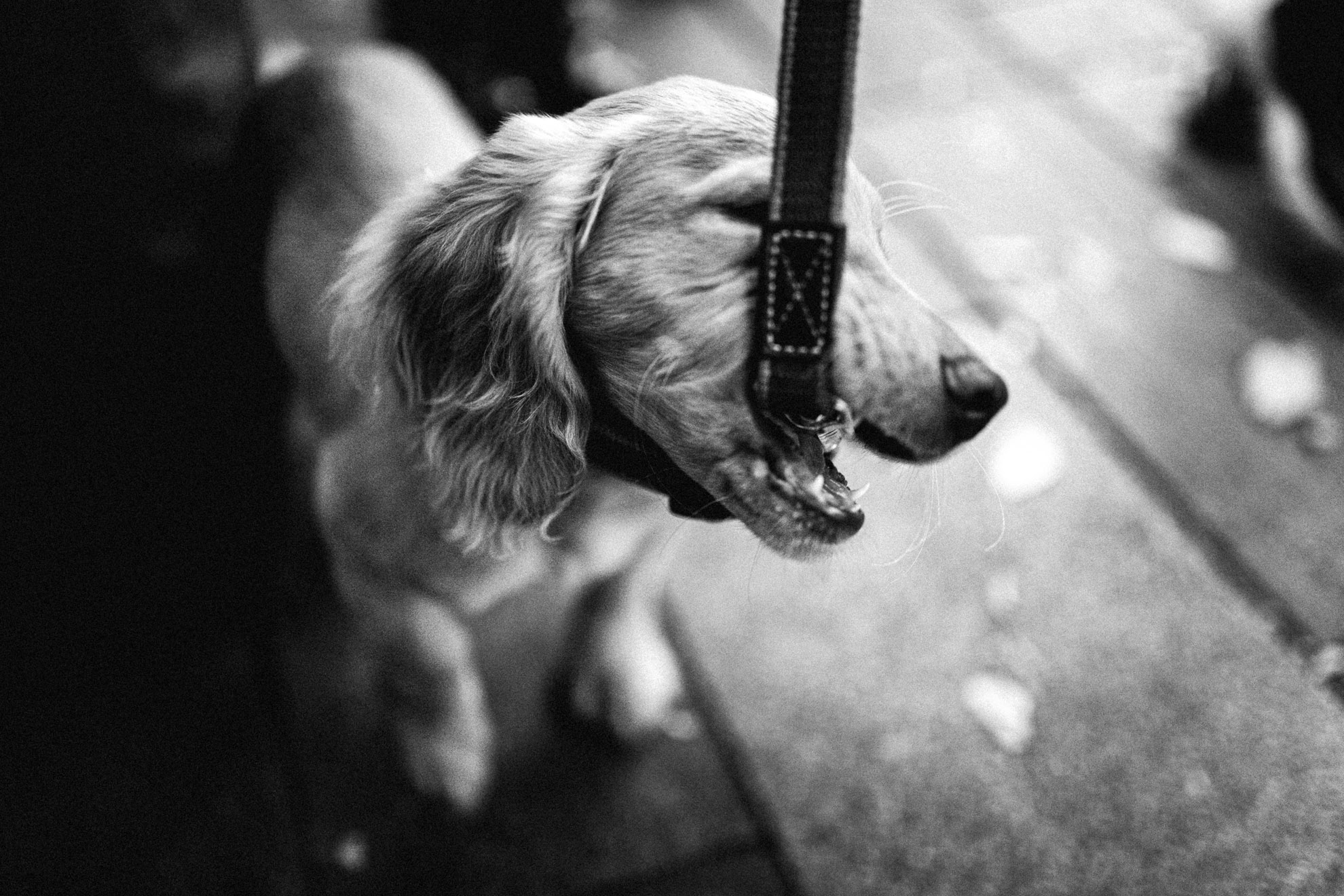 Photography image 11