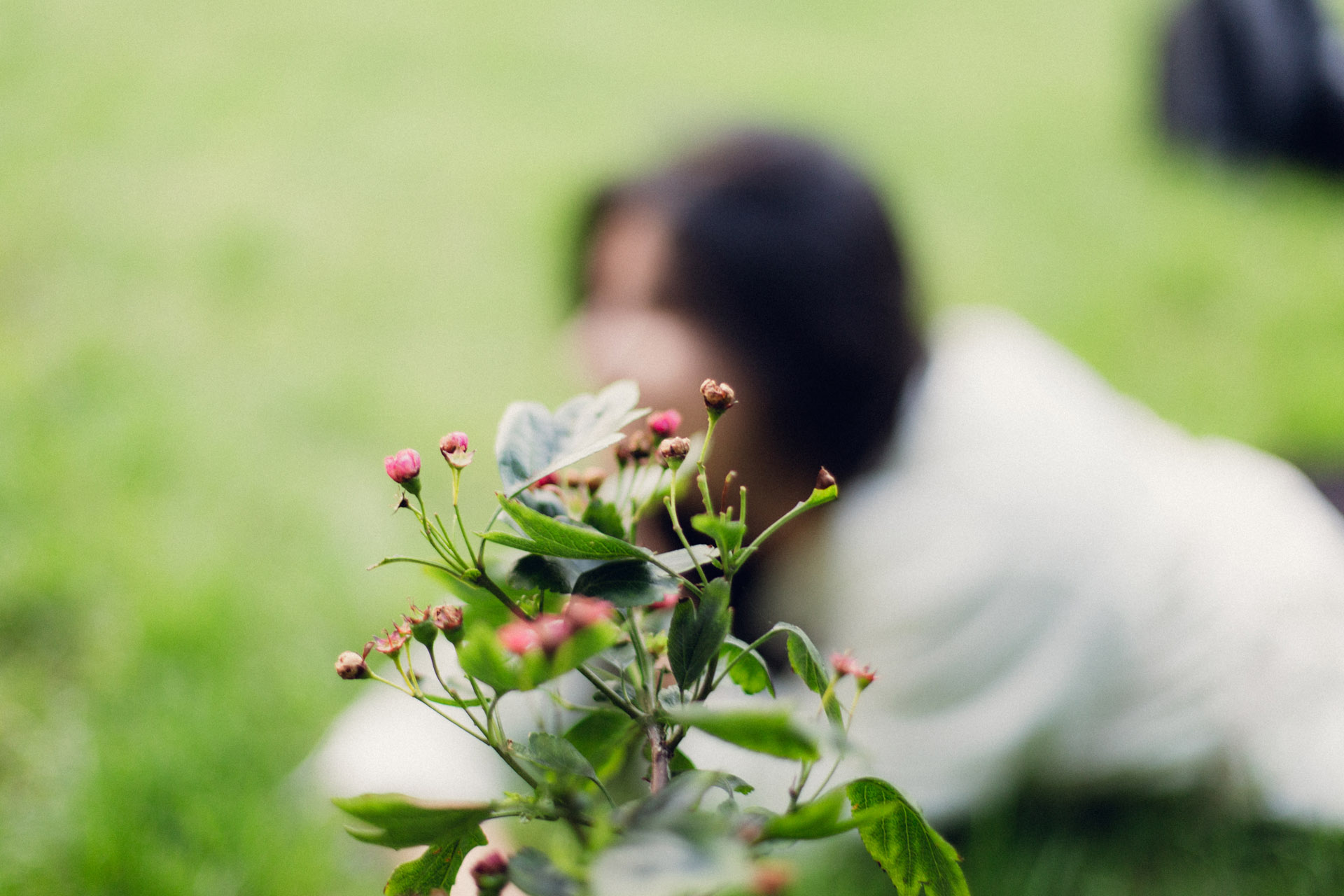 Photography image 14