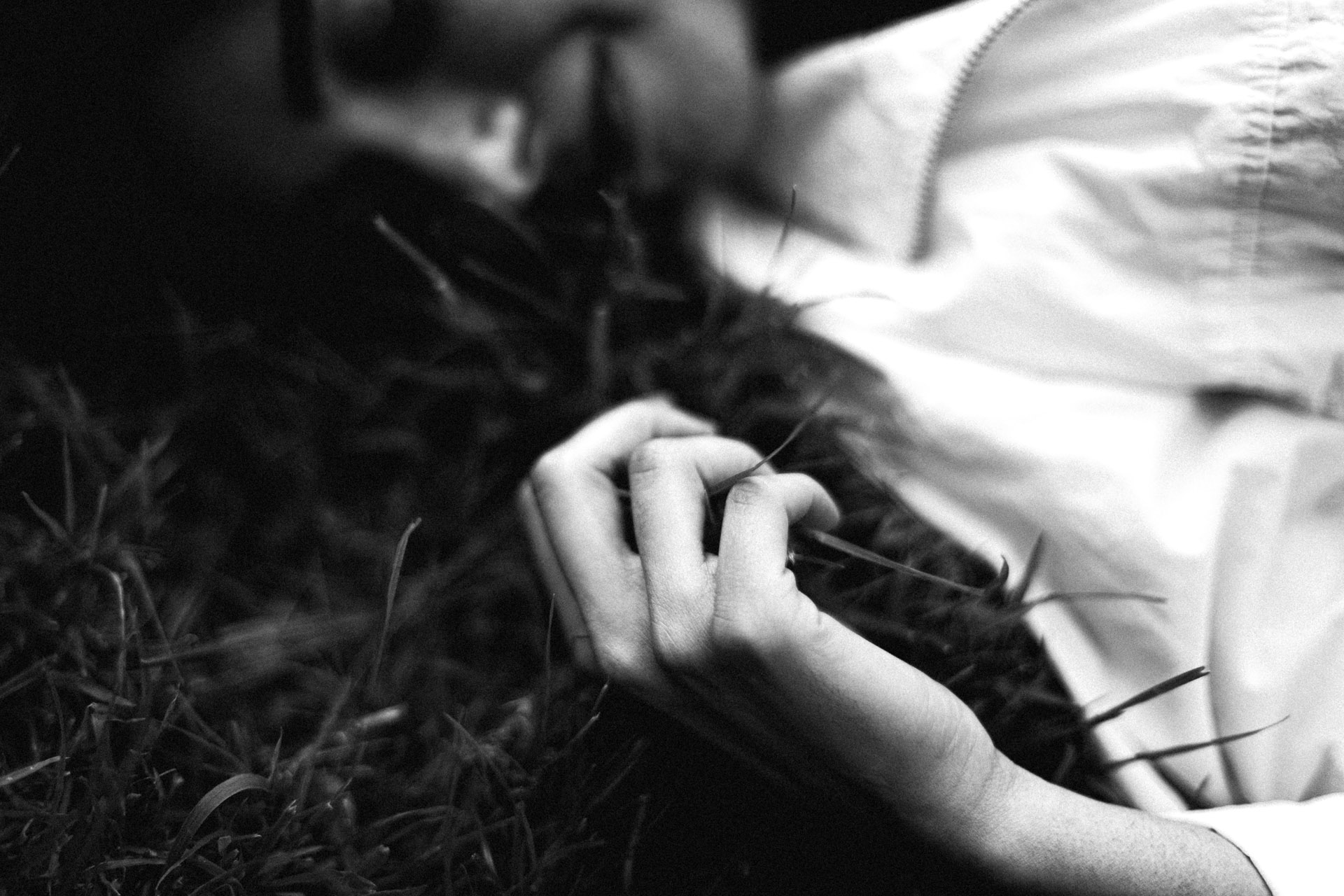 Photography image 19