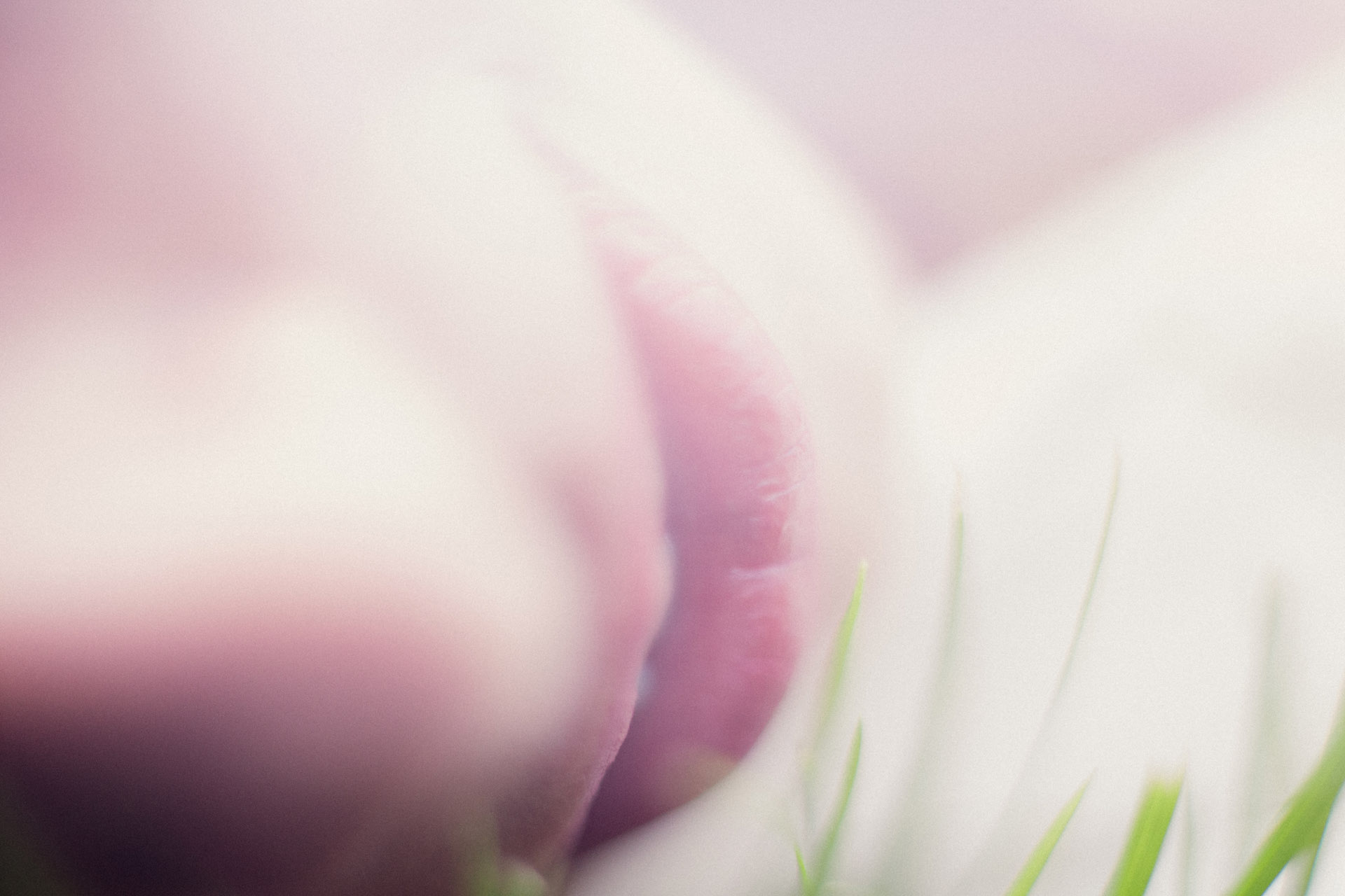 Photography image 21