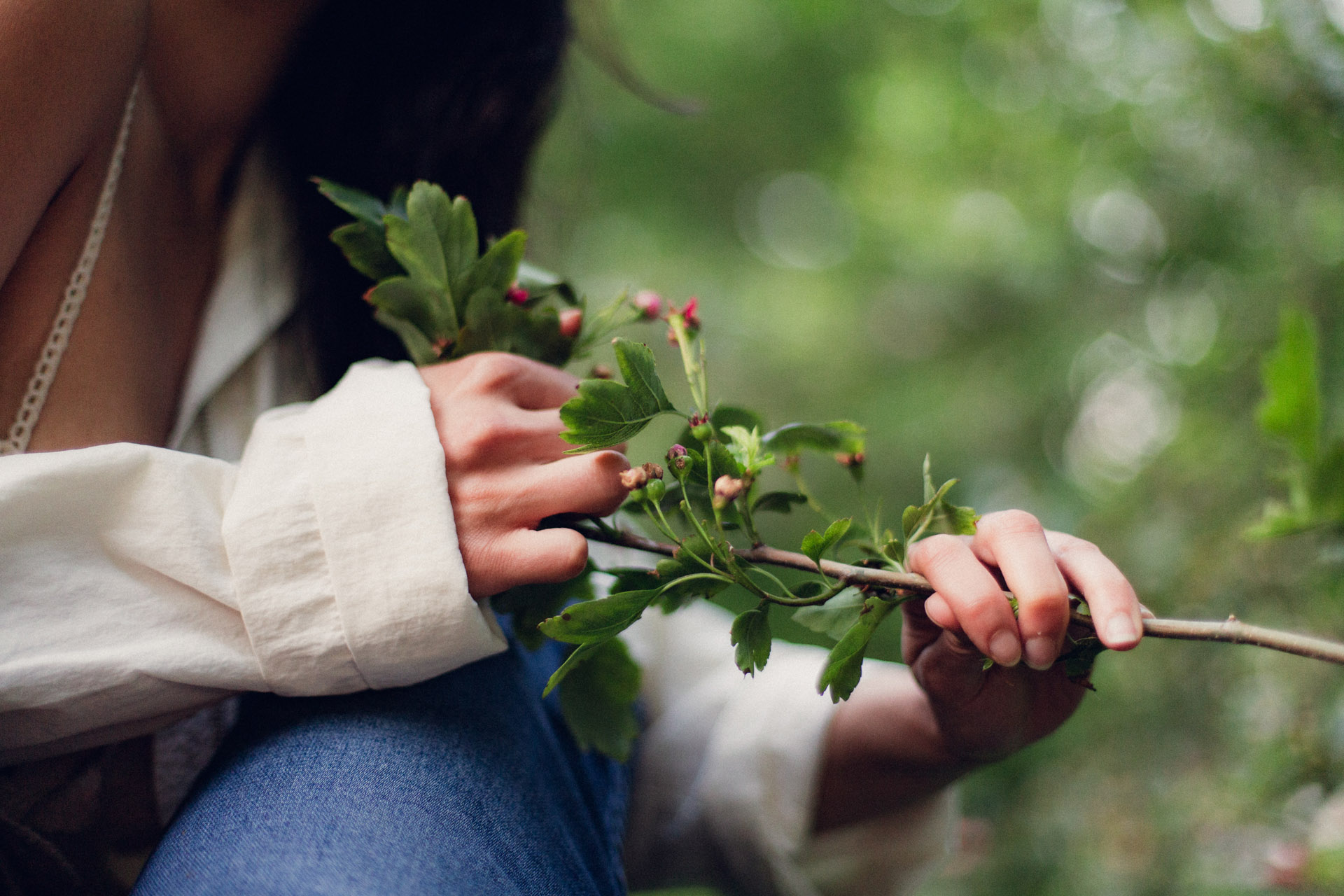 Photography image 24